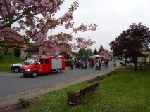 2017 Maibaum setzen