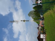2017 Maibaum setzen
