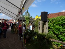 2017 Maibaum setzen