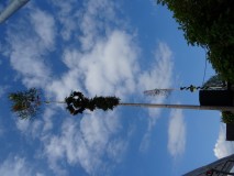 2017 Maibaum setzen
