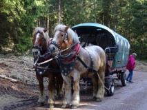 2017 Wellness Oberhof