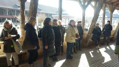 2018 Wellness Bad Salzungen