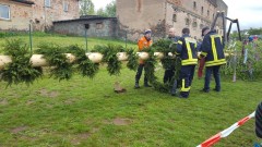 2019 Maibaum setzen