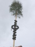 2019 Maibaum setzen