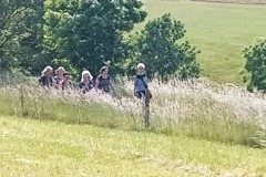 Wandertag 2023