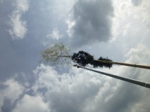 Maibaum setzen 2016