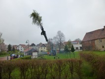 Maibaum setzen