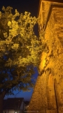 IMG-20260627-WA0000