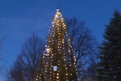 Weihnachtsbaum stellen 2024