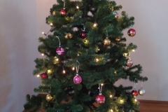 Weihnachtsfeiern 2025