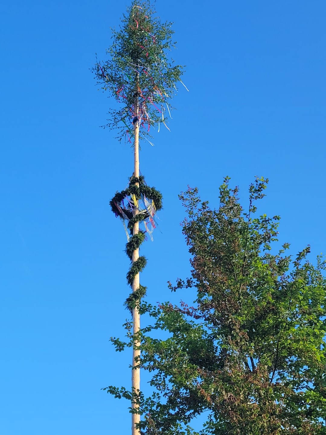 Maibaum setzen 2026