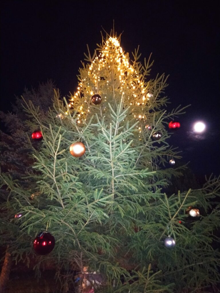 Weihnachtsbaum setzen 2026